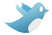 imi tw bird