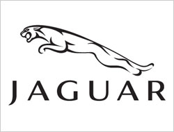 Jaguar: The ones that got away