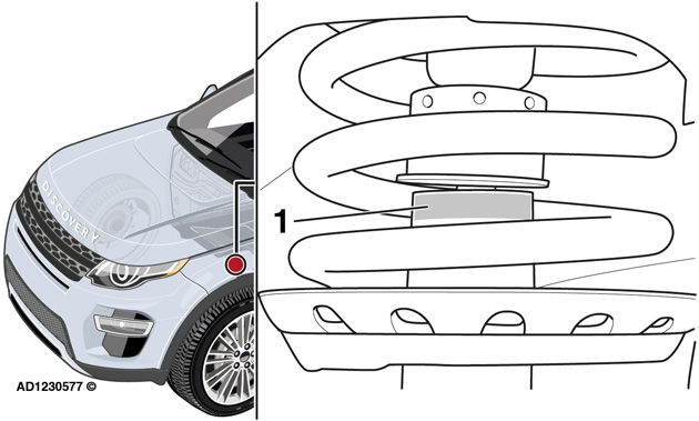 Fig2