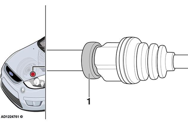 Fig 1