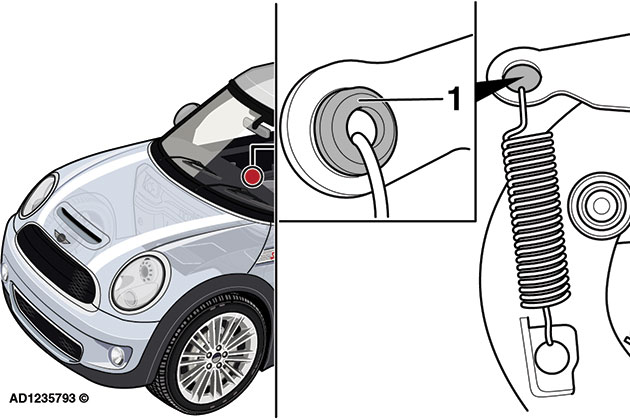 Fig3