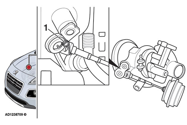 Fig3