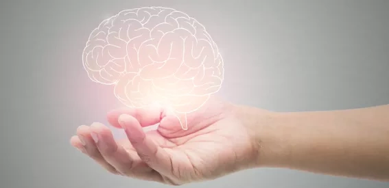 Magic brain