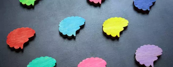 colourful brains